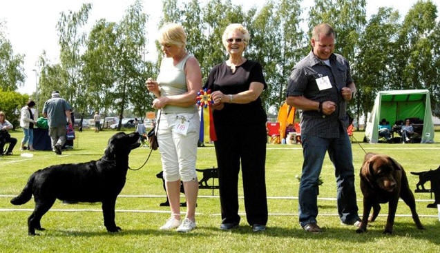 Bästa jaktmeriterade